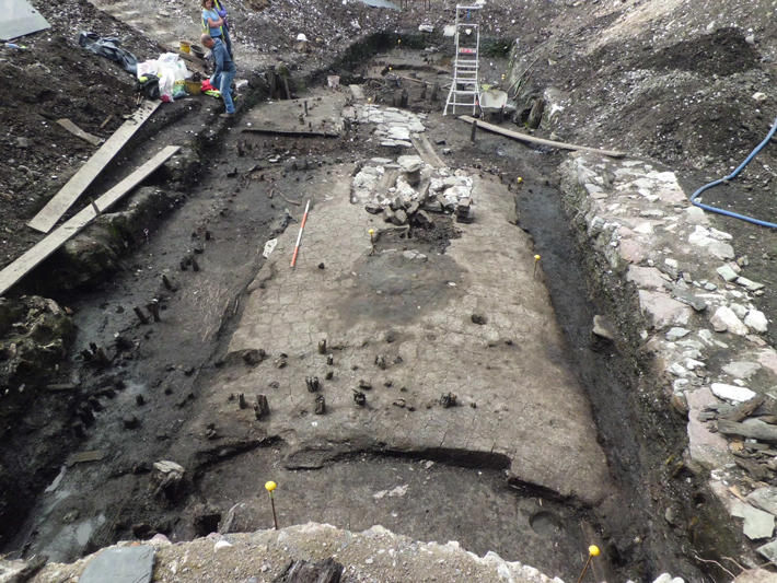 Cork Viking Archaeology